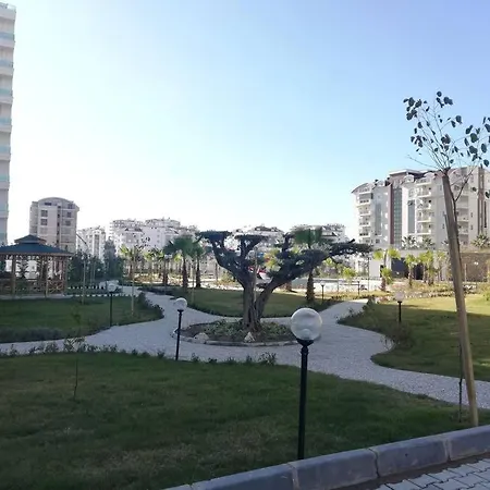 Blank * Алания